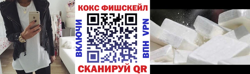 Кокаин Fish Scale  Купить закладки  Барабинск 