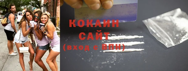 гашик Алзамай