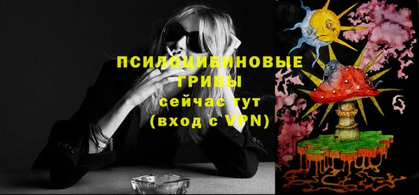 apvp Алексеевка